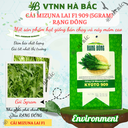 Hạt Giống Cải Mizuna Kyoto 909 (Gói 5g~300 Hạt) Rạng Đông, Trồng Quanh Năm, Giống Cải Thơm, Phát Triển Mạnh