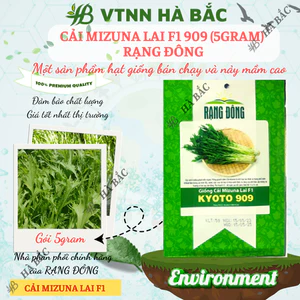 Hạt Giống Cải Mizuna Kyoto 909 (Gói 5g~300 Hạt) Rạng Đông, Trồng Quanh Năm, Giống Cải Thơm, Phát Triển Mạnh