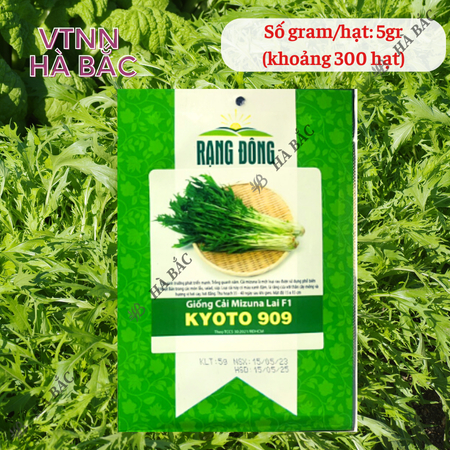Hạt Giống Cải Mizuna Kyoto 909 (Gói 5g~300 Hạt) Rạng Đông, Trồng Quanh Năm, Giống Cải Thơm, Phát Triển Mạnh