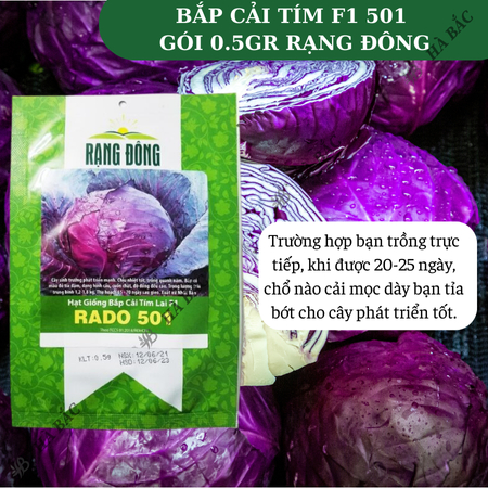 Hạt Giống Bắp Cải Tím Lai F1 RADO 501 (0,5g~150 Hạt) Rạng Đông, Bắp To, Tròn, Giòn Ngọt, Phát Triển Mạnh