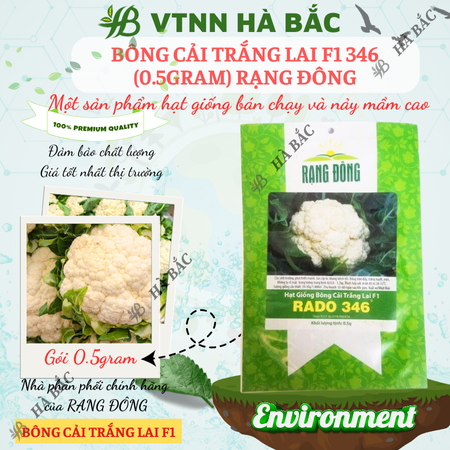 Hạt Giống Bông Cải Trắng Lai F1 RADO 346 (Gói 0,5g~250 Hạt) Rạng Đông, Sinh Trưởng Tốt, Ít Sâu Bệnh – [Súp Lơ Trắng]