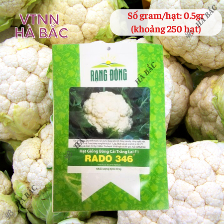Hạt Giống Bông Cải Trắng Lai F1 RADO 346 (Gói 0,5g~250 Hạt) Rạng Đông, Sinh Trưởng Tốt, Ít Sâu Bệnh – [Súp Lơ Trắng]