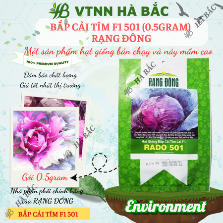 Hạt Giống Bắp Cải Tím Lai F1 RADO 501 (0,5g~150 Hạt) Rạng Đông, Bắp To, Tròn, Giòn Ngọt, Phát Triển Mạnh