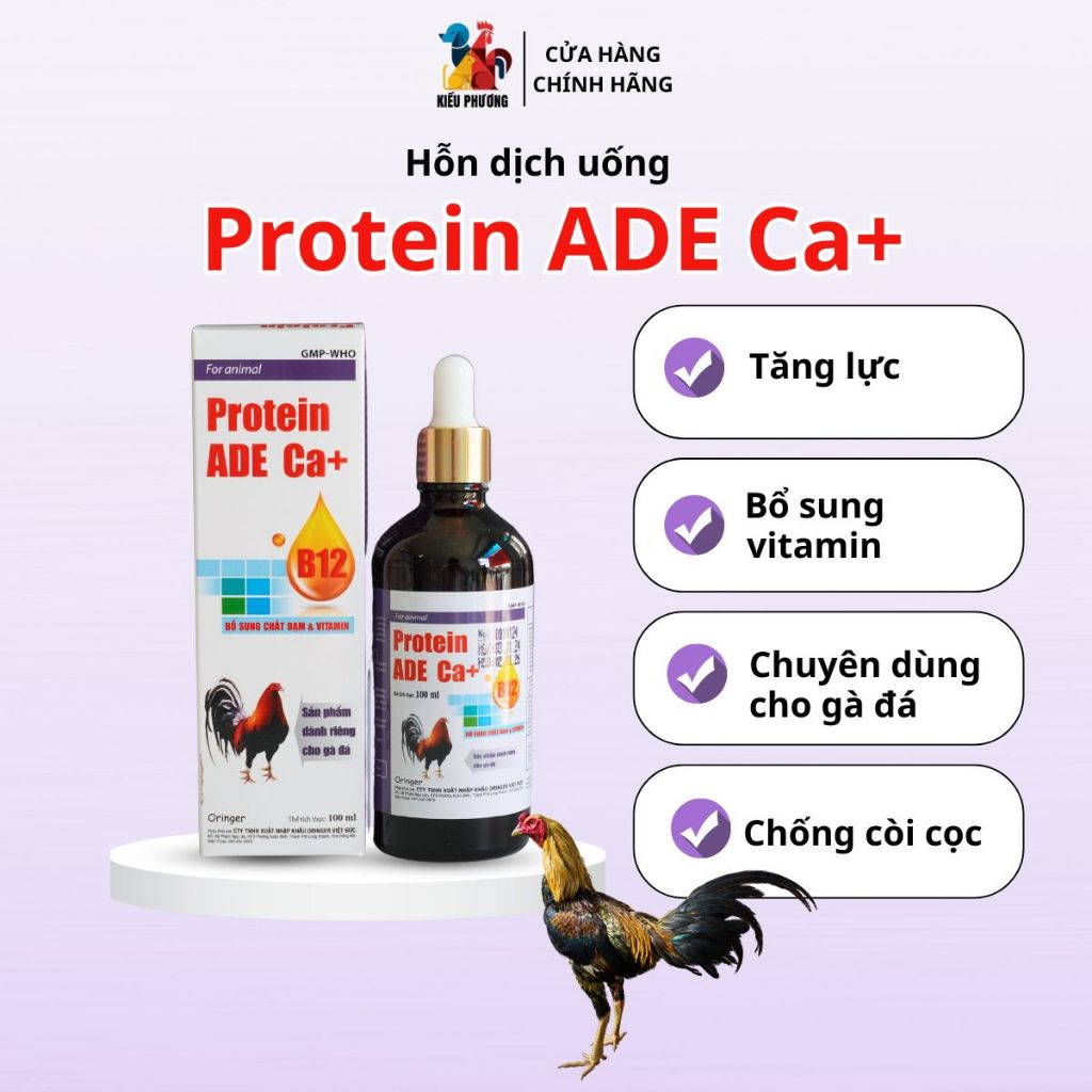 Đạm gà đá nhân sâm PROTEIN ADE Ca+ Tăng lực, tăng khung xương, bổ sung ...