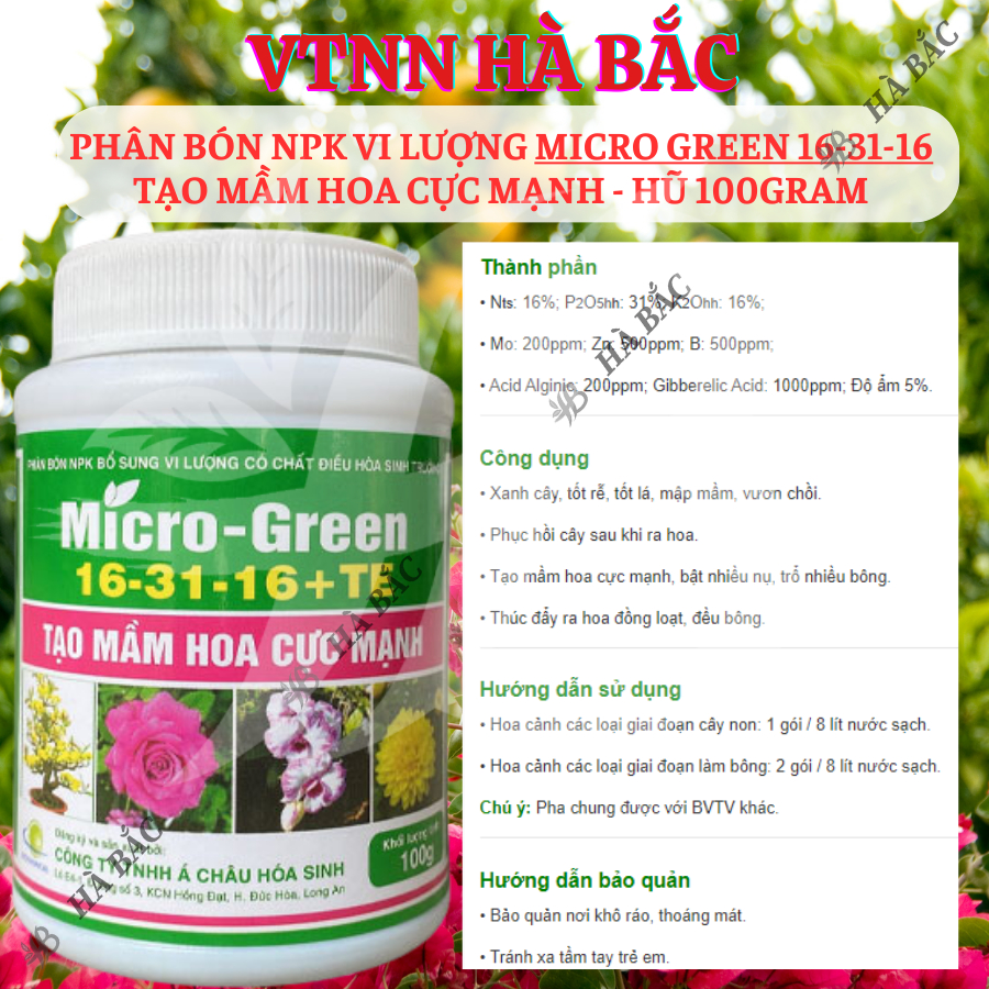 Phân Bón NPK Vi Lượng Micro Green 16-31-16 Tạo Mầm Hoa Cực Mạnh - Hũ 100gram