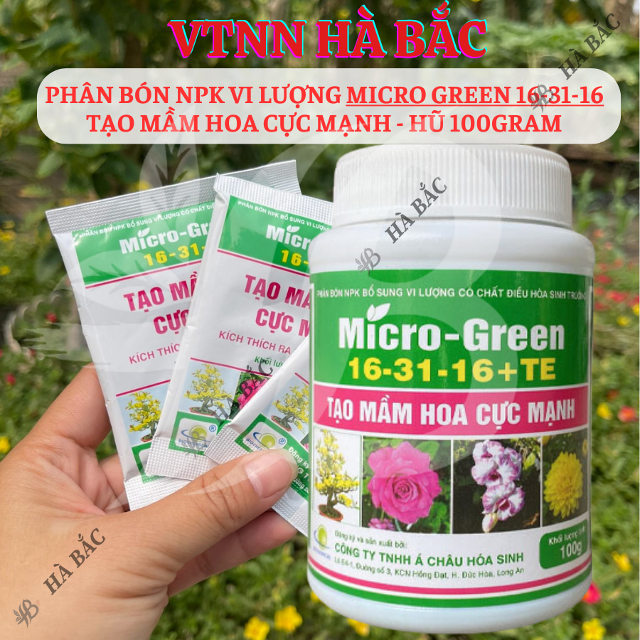 Phân Bón NPK Vi Lượng Micro Green 16-31-16 Tạo Mầm Hoa Cực Mạnh - Hũ 100gram