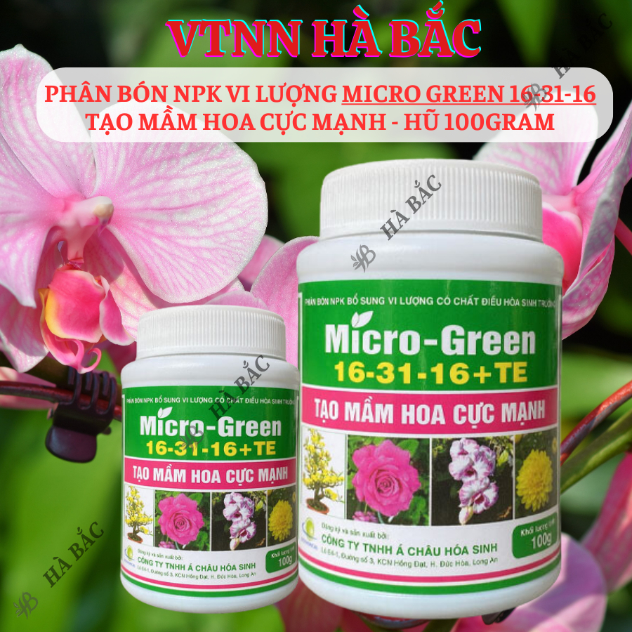 Phân Bón NPK Vi Lượng Micro Green 16-31-16 Tạo Mầm Hoa Cực Mạnh - Hũ 100gram