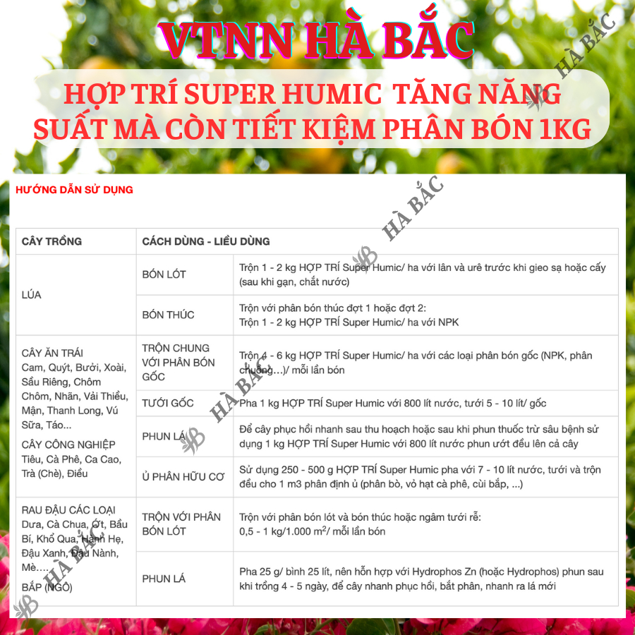 Phân Bón Tưới Gốc Hợp Trí Super Humic, tăng năng suất mà còn tiết kiệm phân bón 1KG