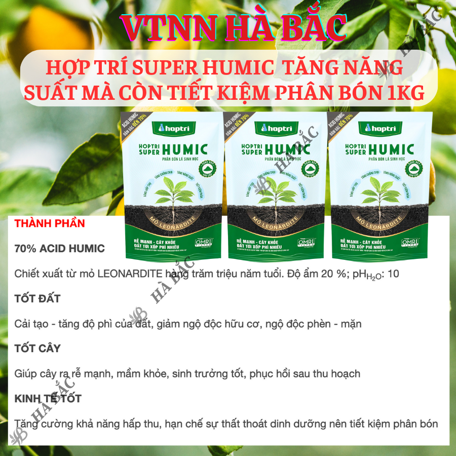 Phân Bón Tưới Gốc Hợp Trí Super Humic, tăng năng suất mà còn tiết kiệm phân bón 1KG