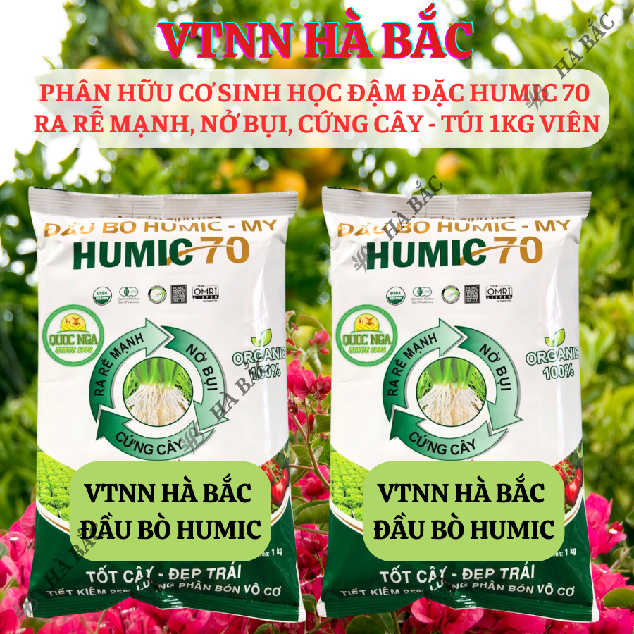 Phân Hữu Cơ Sinh Học Đậm Đặc Humic 70 Đầu Bò, Ra Rễ Mạnh, Nở Bụi, Cứng Cây - Túi 1KG Viên