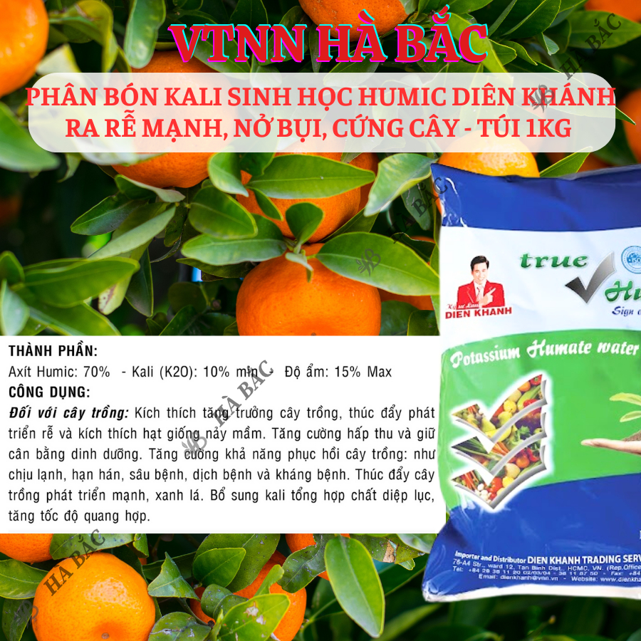 Phân Bón Kali Sinh Học Humic Diên Khánh Ra Rễ Mạnh, Nở Bụi, Cứng Cây - Túi 1KG