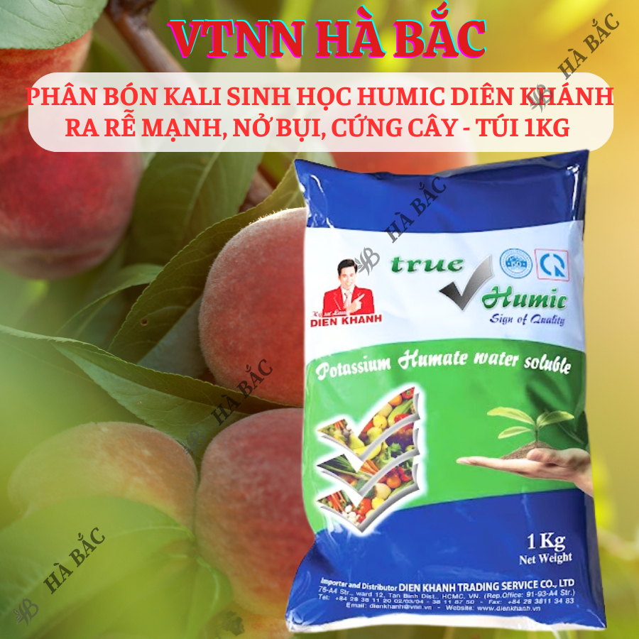 Phân Bón Kali Sinh Học Humic Diên Khánh Ra Rễ Mạnh, Nở Bụi, Cứng Cây - Túi 1KG