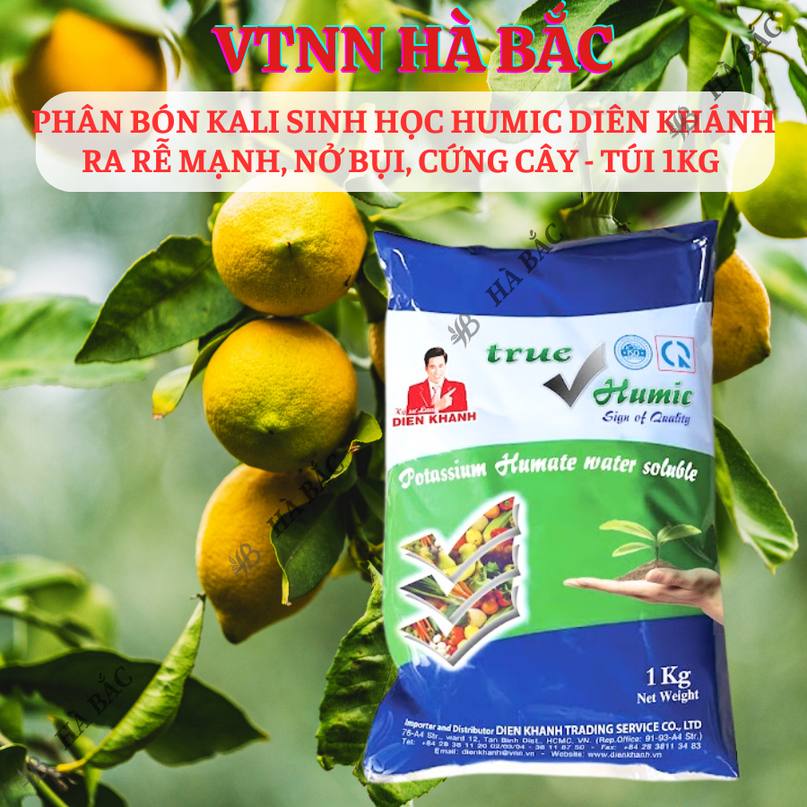 Phân Bón Kali Sinh Học Humic Diên Khánh Ra Rễ Mạnh, Nở Bụi, Cứng Cây - Túi 1KG