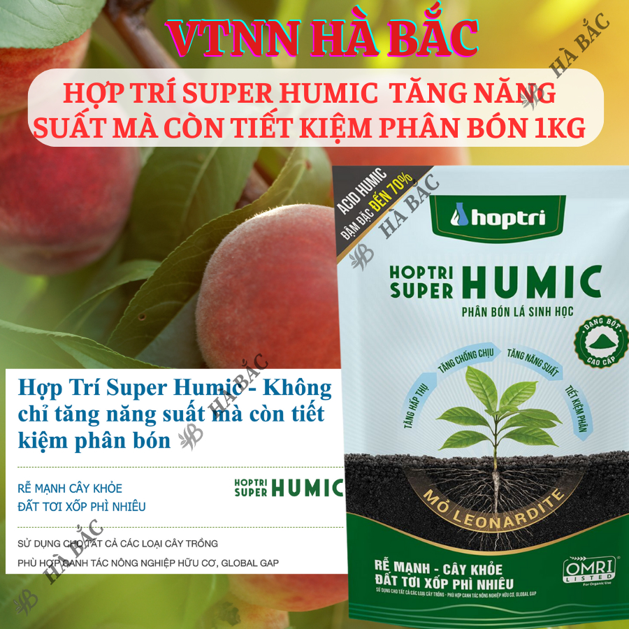 Phân Bón Tưới Gốc Hợp Trí Super Humic, tăng năng suất mà còn tiết kiệm phân bón 1KG