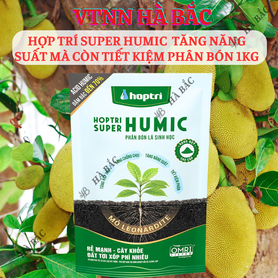 Phân Bón Tưới Gốc Hợp Trí Super Humic, tăng năng suất mà còn tiết kiệm phân bón 1KG