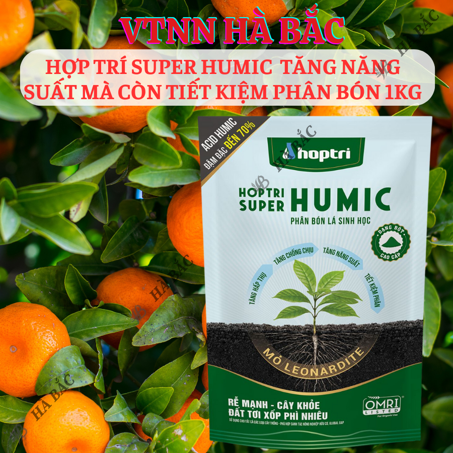 Phân Bón Tưới Gốc Hợp Trí Super Humic, tăng năng suất mà còn tiết kiệm phân bón 1KG
