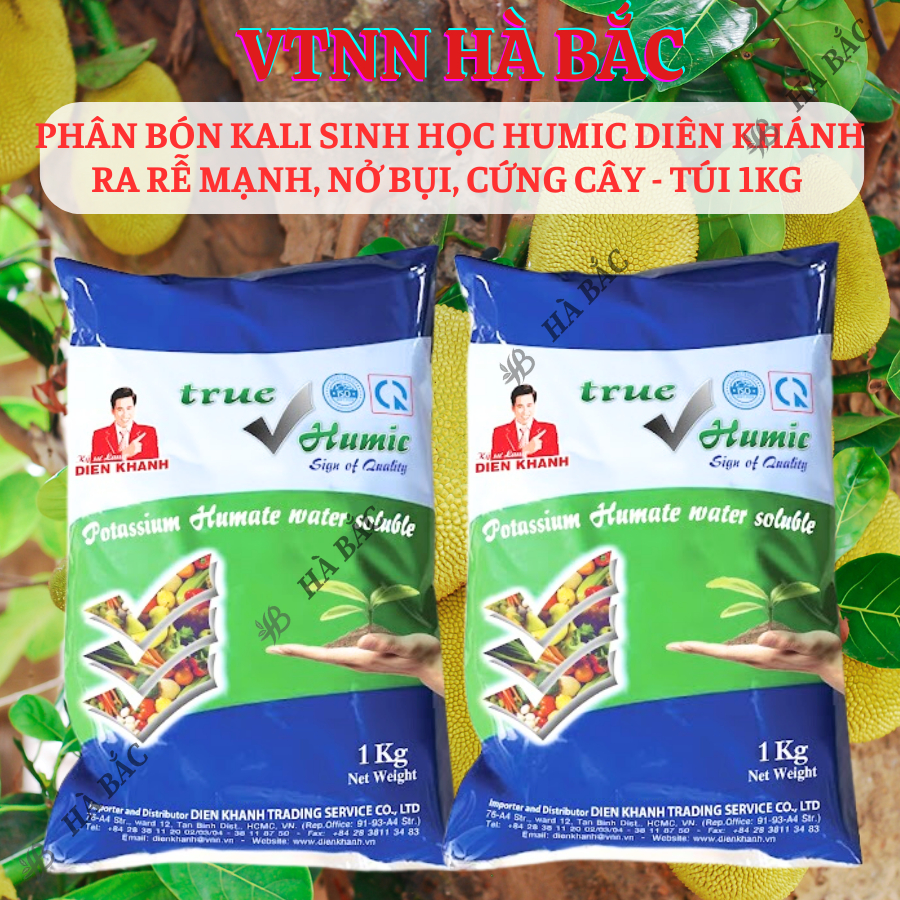 Phân Bón Kali Sinh Học Humic Diên Khánh Ra Rễ Mạnh, Nở Bụi, Cứng Cây - Túi 1KG
