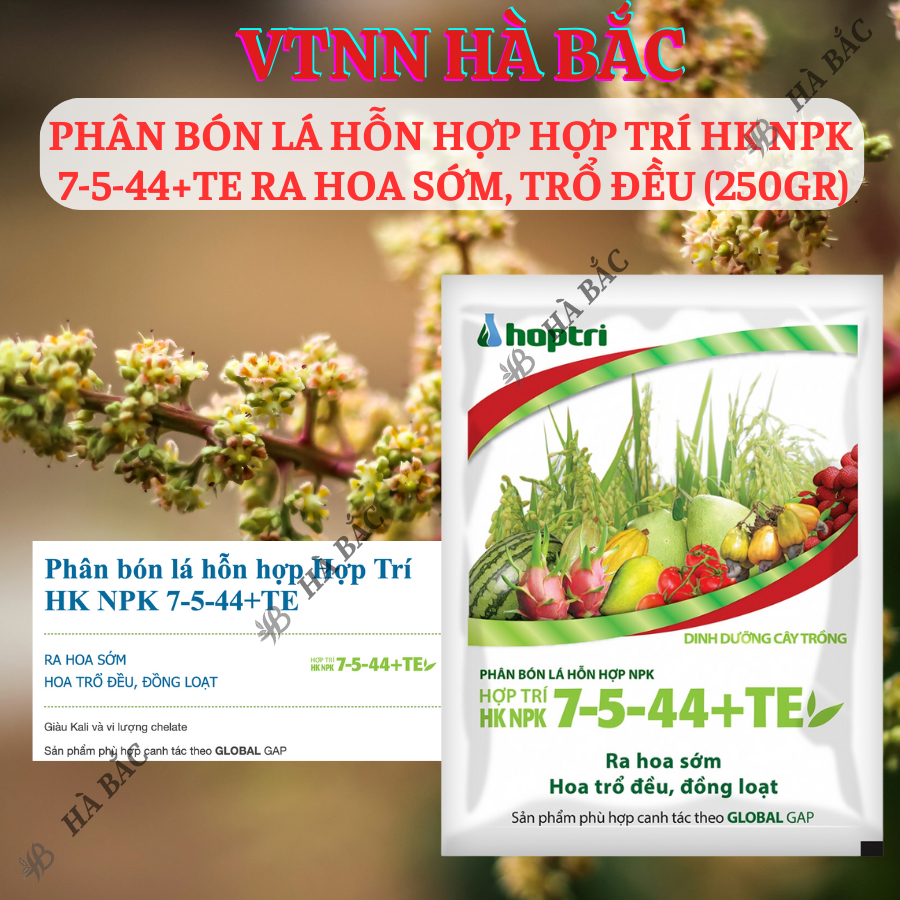Phân Bón Lá Hỗn Hợp Hợp Trí HK NPK 7-5-44+Te Ra Hoa Sớm, Trổ Đều (250gram)