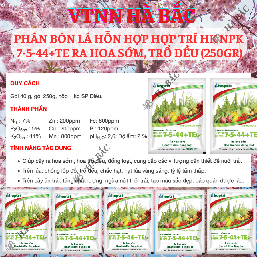 Phân Bón Lá Hỗn Hợp Hợp Trí HK NPK 7-5-44+Te Ra Hoa Sớm, Trổ Đều (250gram)