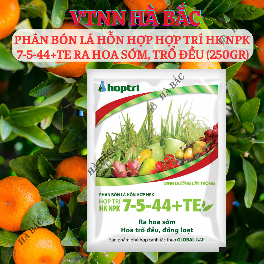 Phân Bón Lá Hỗn Hợp Hợp Trí HK NPK 7-5-44+Te Ra Hoa Sớm, Trổ Đều (250gram)