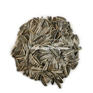 10 Gram ( ≈ 80 Hạt ) - Hạt Giống Hoa  Hướng Dương Ăn Hạt Phương Nam