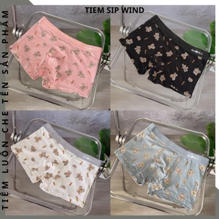 Quần lót nam boxer, sịp đùi nam cute chất cotton mềm mịn mát kháng khuẩn thấm hút tốt WIND COTTON GẤU
