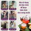 Trà bổ tỳ vị tăng cân Fengcha cho người cơ địa khó tăng cân, luôn mệt mỏi bịch 30 gói lọc