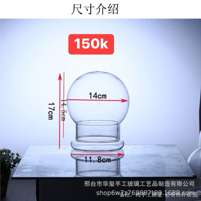 Bình Terrarium, Bình Thủy  tinh ko kèm đèn trồng cây trong nhà
