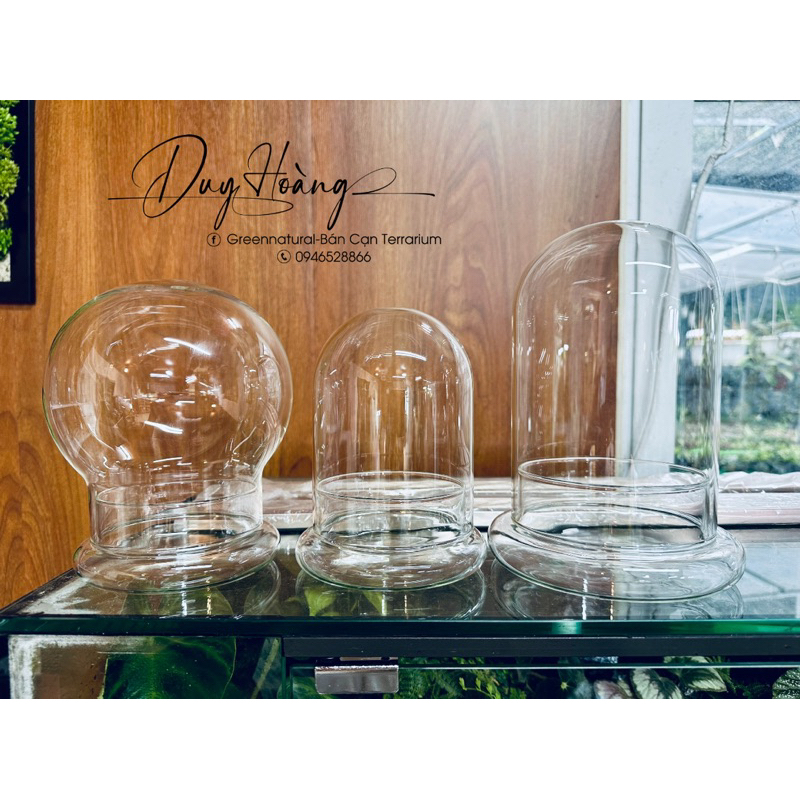 Bình Terrarium, Bình Thủy  tinh ko kèm đèn trồng cây trong nhà