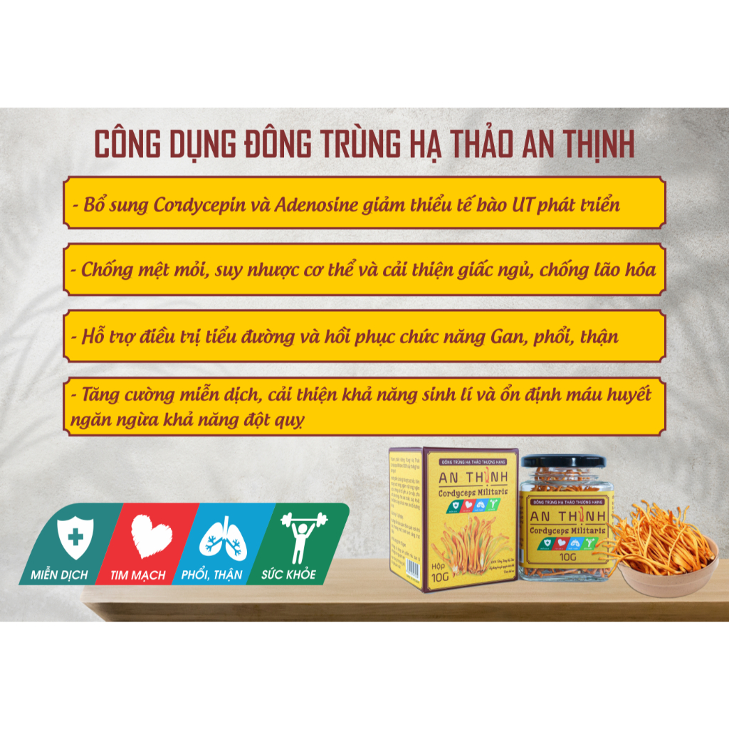 Đông Trùng Hạ Thảo Khô An Thịnh Thượng Hạng Hộp 10 gram
