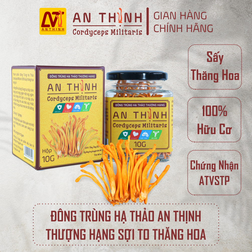 Đông Trùng Hạ Thảo Khô An Thịnh Thượng Hạng Hộp 10 gram
