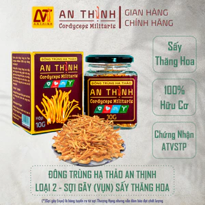 Đông Trùng Hạ Thảo An Thịnh Sấy Thăng Hoa Hộp 10 Gram