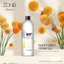 Uốn Lạnh Gel Tại Nhà Trực Tiếp ZDNB | Made in Japan | 1000ml x2