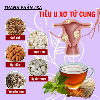 Trà tiêu u xơ tử, giảm u nang tử cung, hỗ trợ viiiêm nhiễm phụ khoa phụ nữ Fengcha bịch 30 gói lọc
