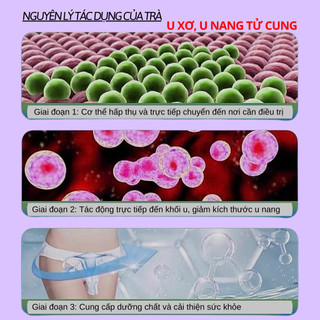 Trà tiêu u xơ tử, giảm u nang tử cung, hỗ trợ viiiêm nhiễm phụ khoa phụ nữ Fengcha bịch 30 gói lọc