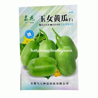 8 Hạt - Hạt Giống Dưa Leo Ngọc Nữ Phương Nam
