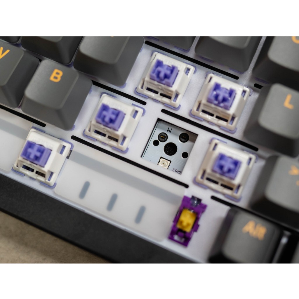 Bàn phím cơ không dây DAREU EK75 PRO - Black Golden (Triple Mode, Gasket Mount, RGB) | BigBuy360 - bigbuy360.vn