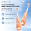 Set 5 Đầu Bàn Chải Thay Thế Chính Hãng - 3 Độ Tuổi