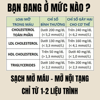 [Hạ mỡ máu] Trà hạ mỡ máu cholesterol, giảm mỡ nội tạng Fengcha đào thải ra ngoài toàn bộ mô mỡ xấu trong ngũ tạng
