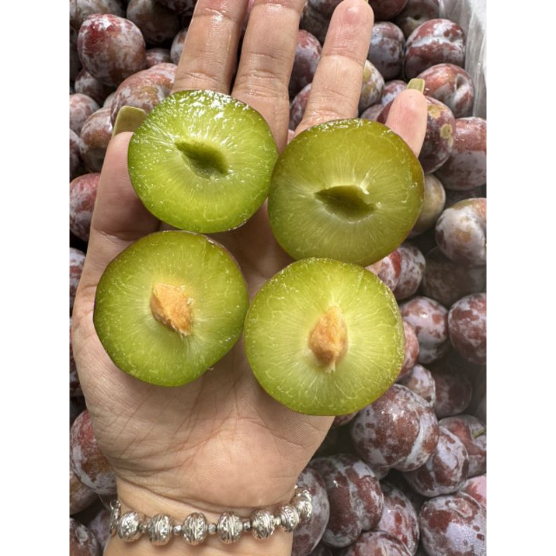 Mận róc xanh 1kg | Shopee Việt Nam