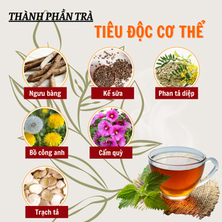 [Gột sạch độc tố] Trà tiêu độc 5in1 Fengcha thanh tẩy độc tố toàn bộ cơ thể cấp tế bào bịch 30 gói