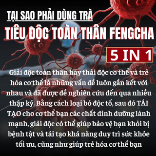 [Gột sạch độc tố] Trà tiêu độc 5in1 Fengcha thanh tẩy độc tố toàn bộ cơ thể cấp tế bào bịch 30 gói