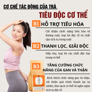 [Gột sạch độc tố] Trà tiêu độc 5in1 Fengcha thanh tẩy độc tố toàn bộ cơ thể cấp tế bào bịch 30 gói