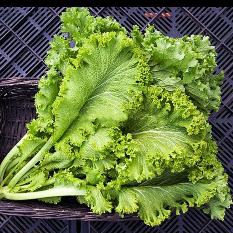 200 Hạt Giống Cải Mù Tạt Xoăn Xanh💯 Ăn Cực Ngon@💥 Dễ Trồng