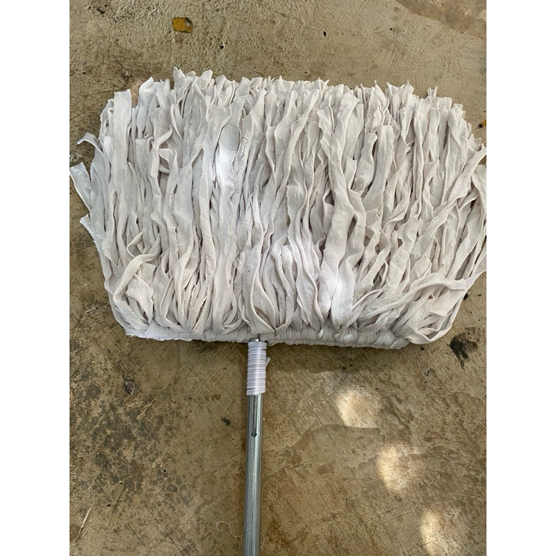 cây lau màu sữa ngang 35cm