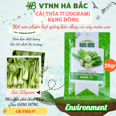 Hạt Giống Cải Thìa RADO 77 (Gói 20g~3500 Hạt) Rạng Đông, Sinh Trưởng Mạnh, Nhanh Thu Hoạch