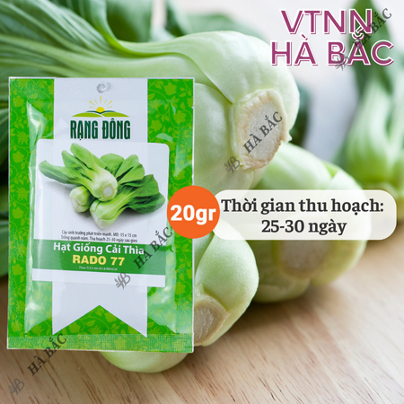 Hạt Giống Cải Thìa RADO 77 (Gói 20g~3500 Hạt) Rạng Đông, Sinh Trưởng Mạnh, Nhanh Thu Hoạch