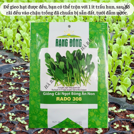 Hạt Giống Cải Ngọt Bông Ăn Non RADO 308 (Gói 20g~6000 Hạt) Rạng Đông, Nhanh Thu Hoạch, Dễ Gieo Trồng, Xanh Mướt