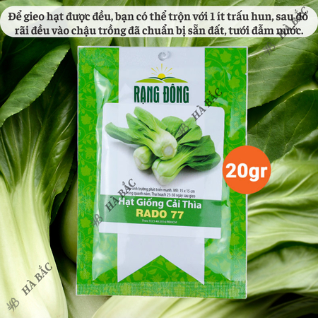 Hạt Giống Cải Thìa RADO 77 (Gói 20g~3500 Hạt) Rạng Đông, Sinh Trưởng Mạnh, Nhanh Thu Hoạch
