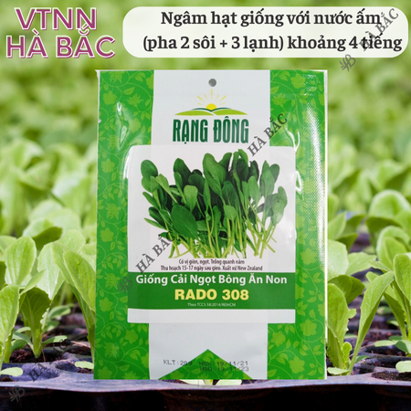Hạt Giống Cải Ngọt Bông Ăn Non RADO 308 (Gói 20g~6000 Hạt) Rạng Đông, Nhanh Thu Hoạch, Dễ Gieo Trồng, Xanh Mướt